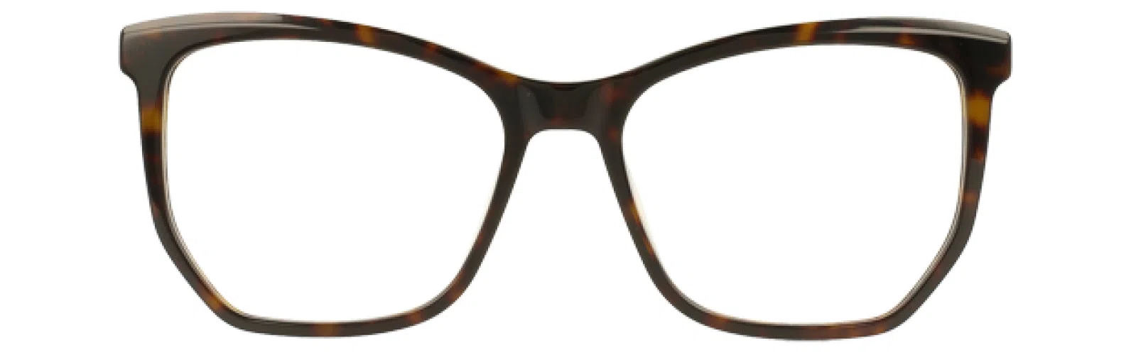 Leon Max LM4104 Eyeglasses - Tortoise - view 10